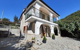 Il Vigneto